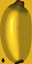 Banana1 texture from sampfruits.txd (64x128 DXT1)