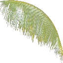 Bdup2_plant texture from whore_rms.txd (256x256 DXT3)
