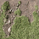 Bow_church_dirt_to_grass_side texture from vegasbuild.txd (128x128 DXT1)