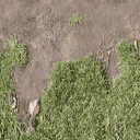 Bow_church_dirt_to_grass_side_t texture from canalsg_law.txd (128x128 DXT1)