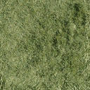 Bow_church_grass_alt texture from law_beach2.txd (128x128 DXT1)