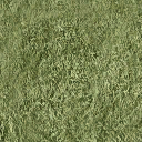 Bow_church_grass_gen texture from vgnhseing1.txd (128x128 DXT1)