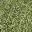 Bow_church_grass_gen_lod texture from lodvgsslod02.txd (32x32 DXT1)