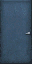 CJ_BLUE_DOOR texture from genintintsex.txd (64x128 DXT1)