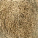 CJ_HAY texture from break_farm.txd (128x128 DXT1)