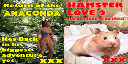 CJ_PORNO_VIDS3 texture from cj_sex.txd (256x128 DXT1)
