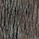 CJ_bark texture from gta_brokentrees.txd (256x256 DXT1)
