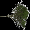 Elm_treegrn texture from tree1.txd (128x128 ARGB32)