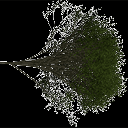 Elm_treegrn2 texture from tree1.txd (128x128 ARGB32)