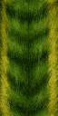 GB_plant02 texture from gb_ornaments01.txd (128x256 DXT1)
