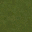 GRASSLOD texture from lod3_las.txd (32x32 DXT1)