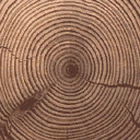 Gen_Log_End texture from ropebridge.txd (128x128 DXT1)