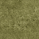 Grass texture from lee_kitch.txd (128x128 XRGB32)