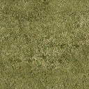 Grass texture from wddngchplgrnd01.txd (128x128 DXT1)
