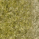 Grass-base-Right texture from kickstart.txd (128x128 DXT1)