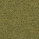 Grass_dry_64HV texture from garag3_lawn.txd (128x128 DXT1)