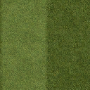 Grass_lawn_128HV texture from vgnbball.txd (128x128 DXT1)