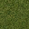 LODGrass_128HV texture from lod5sfw.txd (32x32 DXT1)