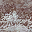 LOD_ws_altz_wall4 texture from lod_sfs2.txd (32x32 DXT1)