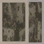 LODelbits_Sfe01a texture from lod2_sfe.txd (64x64 DXT1)