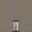 LODkmod1_sfw_c texture from lod7sfw.txd (32x32 DXT1)