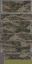 LODpbuild_sfw22_c texture from lod7sfw.txd (32x64 DXT1)