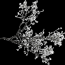 Locustbra texture from tree2.txd (128x128 ARGB32)