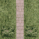 SF_garden3 texture from beachbx_sfw.txd (128x128 DXT1)