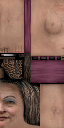 SWFOPRO texture from swfopro.txd (128x256 XRGB32)