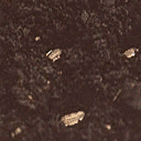 Soil texture from lee_studhall.txd (128x128 DXT1)