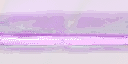 Strip_neon1 texture from lee_stripclub.txd (128x64 DXT3)