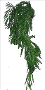 Strip_plant texture from lee_stripclub.txd (128x256 DXT3)
