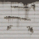 Was_scrpyd_trailer_edge texture from cw_junkyard2cs_t.txd (128x128 DXT1)