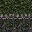 aamanbev95xLOD texture from lahillsa_lod.txd (32x32 DXT1)