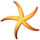 ab_aqua_starfish texture from traidaqua.txd (128x128 DXT3)