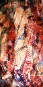 ab_carcass texture from ab_ab.txd (256x512 DXT1)