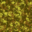 armyhelmet8 texture from armyhelmets.txd (64x64 DXT1)
