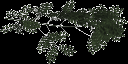 ashbrnch texture from tree3.txd (128x64 ARGB32)