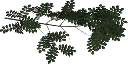 ashbrnch texture from tree3prc.txd (128x64 DXT3)