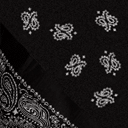 bandblack texture from bandblack2.txd (128x128 XRGB32)