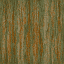 bchamae texture from gtatreeshi9.txd (64x64 XRGB32)