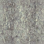 bcorya0 texture from tree3prc.txd (64x64 DXT1)