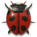 beetles5 texture from hugebowls.txd (128x128 DXT3)