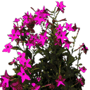 bevflower2 texture from lahills_wiresnshit3.txd (128x128 DXT3)