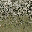 blendrock2grassLOD texture from lod_countryn.txd (32x32 DXT1)