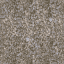 bpiced1 texture from tree2.txd (64x64 XRGB32)