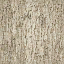 bpinud2 texture from tree3prc.txd (64x64 DXT1)