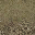 brngrss2stonesLOD texture from lod_countryn.txd (32x32 DXT1)