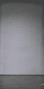 calfederal7 texture from calfed_sfe.txd (64x128 DXT1)