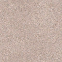 carp11S texture from cj_change_room.txd (128x128 DXT1)